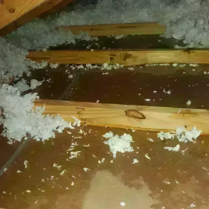 Attic Water Damage in Stark County, OH