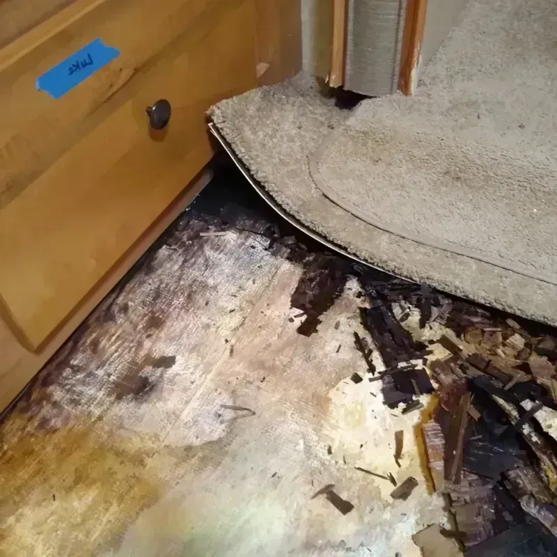 Best Wood Floor Water Damage Service in Stark County, OH